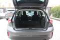 Ford Focus Focus 1.5 ecoblue Business 120cv auto Gris - thumbnail 14