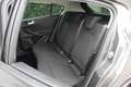 Ford Focus Focus 1.5 ecoblue Business 120cv auto Gris - thumbnail 11