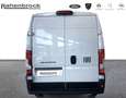 Fiat Ducato Kasten L3H2 MY25 Maxi Blanc - thumbnail 9