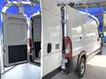 Fiat Ducato Kasten L3H2 MY25 Maxi Blanc - thumbnail 4