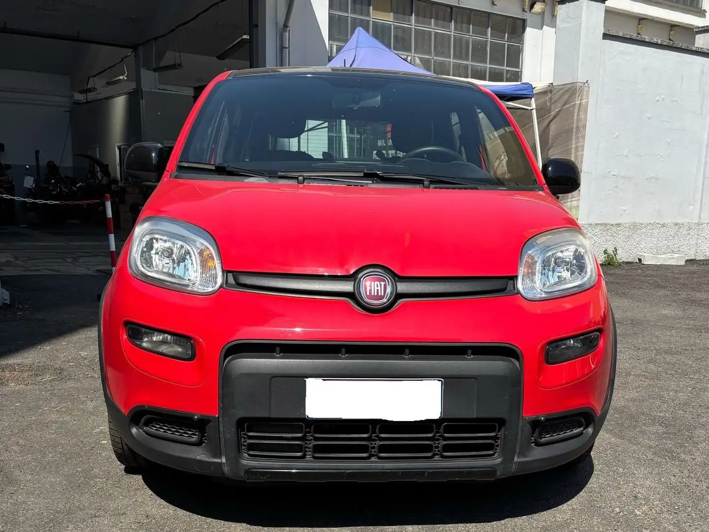 Fiat Panda Panda 1.0 firefly hybrid Sport s Rouge - 2