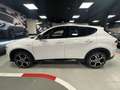 Alfa Romeo Tonale 1.5 hybrid Veloce 160cv tct7 Blanco - thumbnail 3