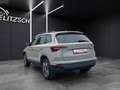 Skoda Karoq TSI Ambition Grau - thumbnail 5