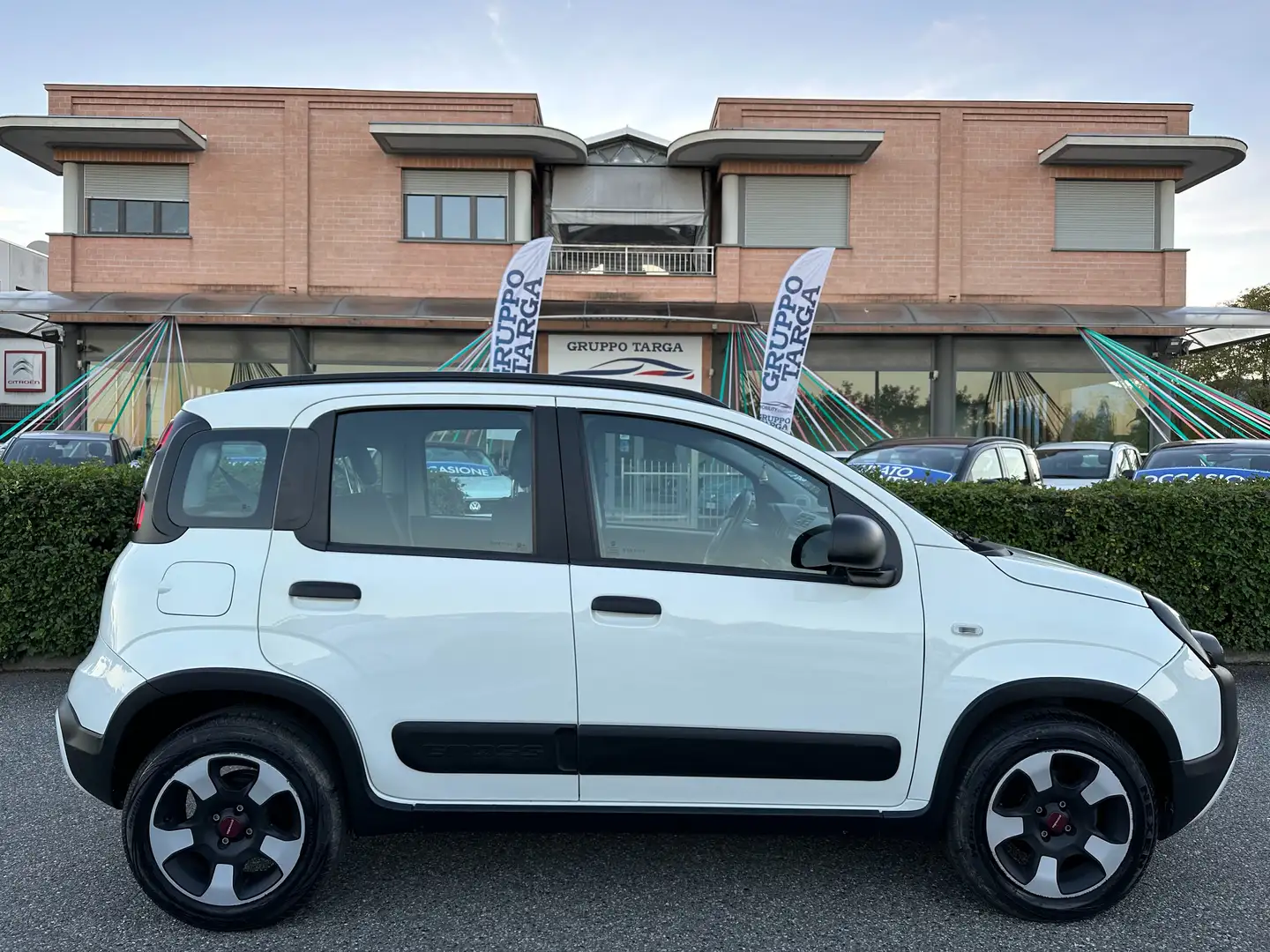 Fiat Panda Panda 1.0 hybrid City Cross s Bianco - 1