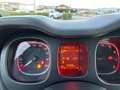 Fiat Panda Panda 1.0 hybrid City Cross s Bianco - thumbnail 9