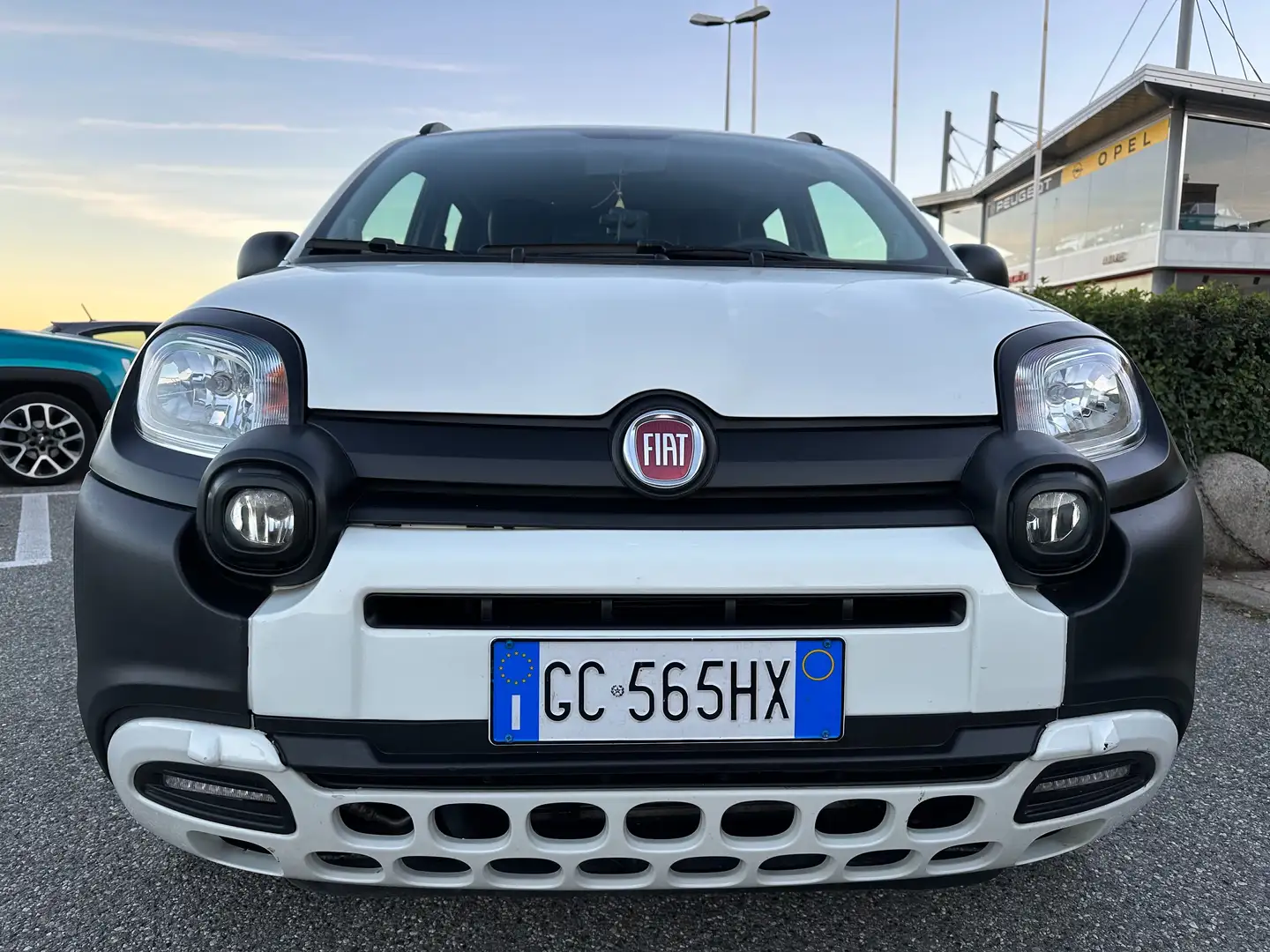 Fiat Panda Panda 1.0 hybrid City Cross s Bianco - 2
