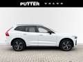 Volvo XC60 Recharge T6 AWD R-Design 19'' 360 Kamera AHK Harma Weiß - thumbnail 6
