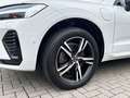 Volvo XC60 Recharge T6 AWD R-Design 19'' 360 Kamera AHK Harma Weiß - thumbnail 9