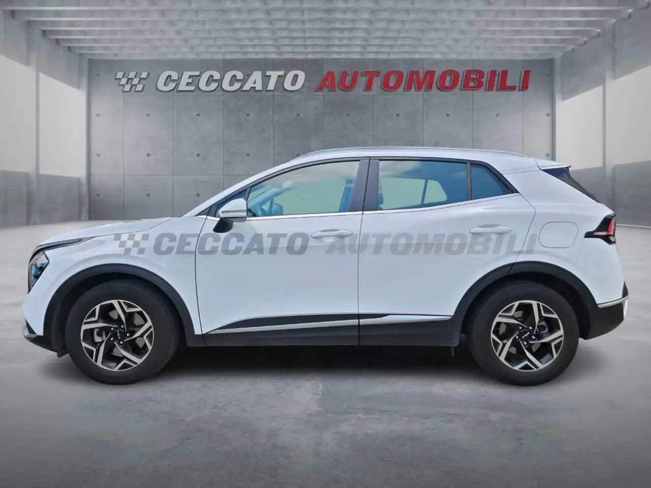Kia Sportage Sportage 1.6 tgdi mhev Business dct 2