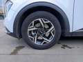 Kia Sportage Sportage 1.6 tgdi mhev Business dct Blanco - thumbnail 6