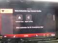 Volkswagen T7 Multivan VW T7 Multivan Edition TDI Grau - thumbnail 13