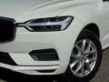 Volvo XC60 2.0 d4 Business Bianco - thumbnail 2
