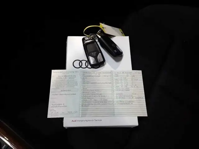 Audi Q5 view 15