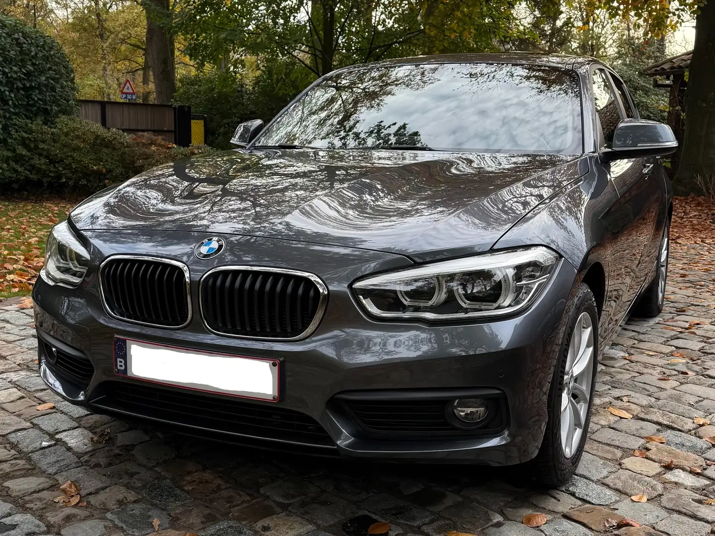 BMW 116 116i Gris - 1