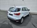 Ford EcoSport 1.0 ecoboost 99ch Blanc - thumbnail 5