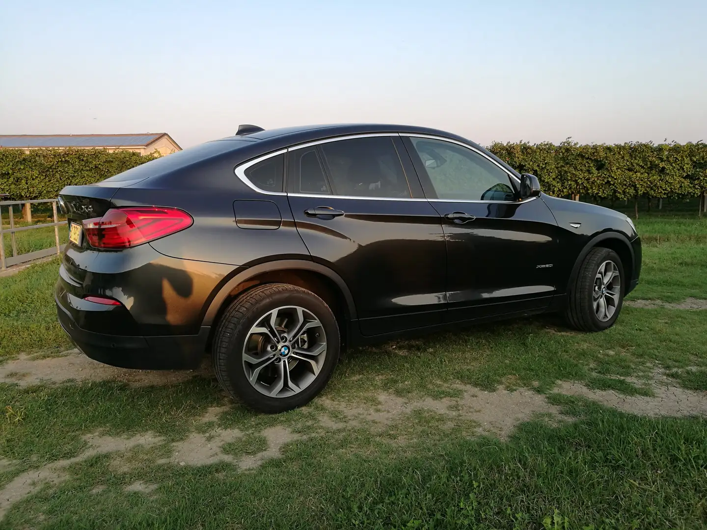 BMW X4 X4 F26 xdrive20iA Grigio - 1
