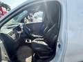 Renault Express Express 1.5 Blue dci 95cv - GH431YE Bianco - thumbnail 11