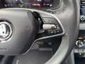 Skoda Karoq DAB AUT Grau - thumbnail 14