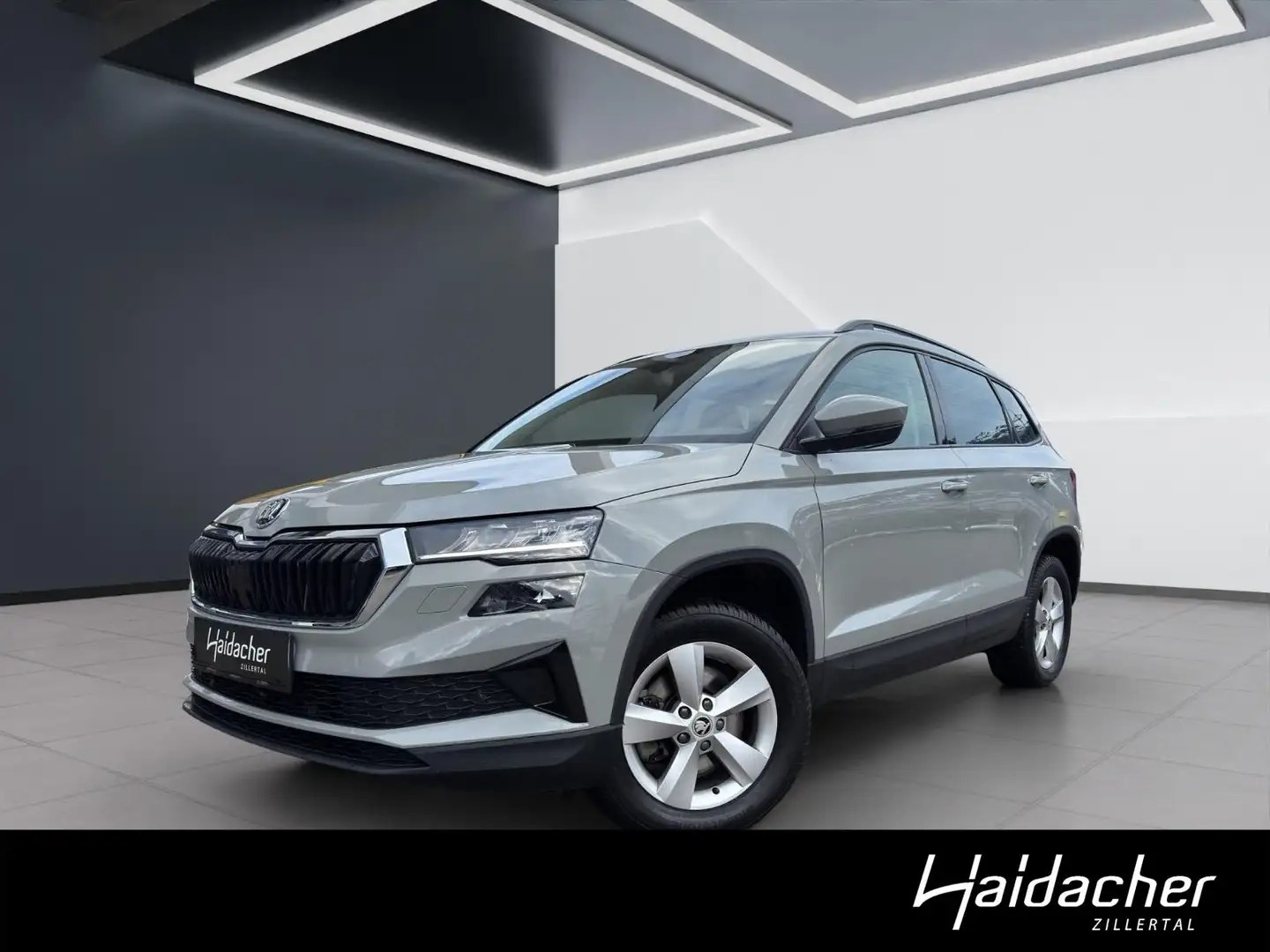 Skoda Karoq DAB AUT Grau - 1