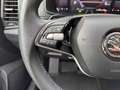 Skoda Karoq DAB AUT Grau - thumbnail 13