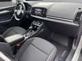 Skoda Karoq DAB AUT Grau - thumbnail 23