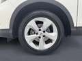 Nissan Qashqai 1.5 dCi 115 CV Business Blanc - thumbnail 5