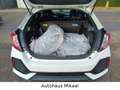 Honda Civic Lim. 5-trg. 1.0 Elegance gepflegt White - thumbnail 15