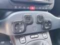 Fiat Panda Panda 1.0 firefly hybrid Cross s&s 70cv 5p.ti Rosso - thumbnail 10