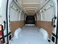 Renault Master 2.3 DCI ICE T35 135CV L3H3 PRONTA CONSEGNA Bianco - thumbnail 13