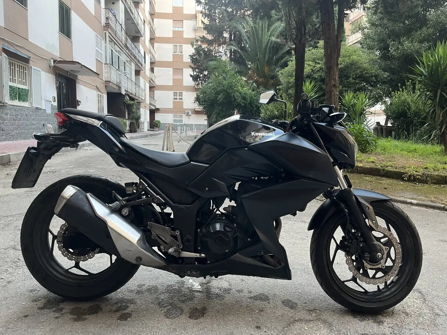 Kawasaki Z 300 ABS - 1
