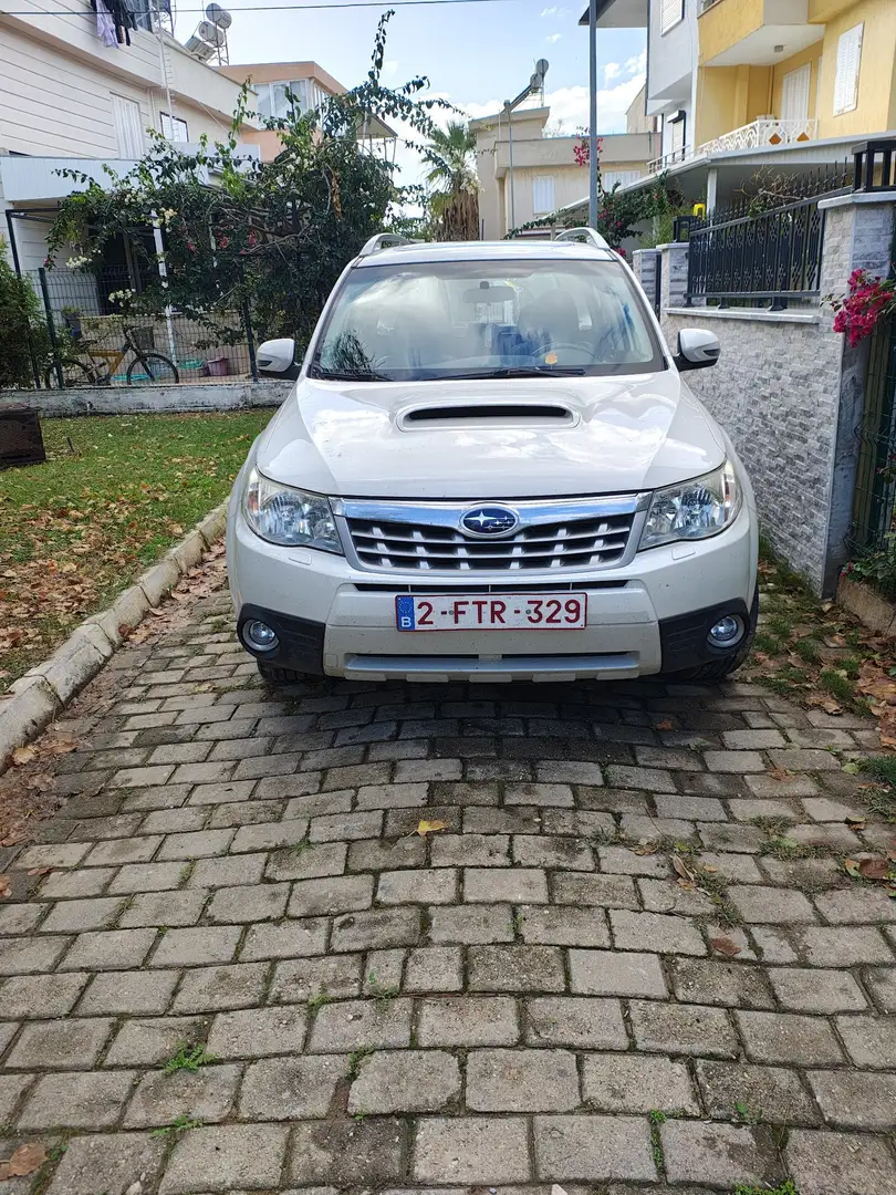 Subaru Forester 2.0 D Confort - 1