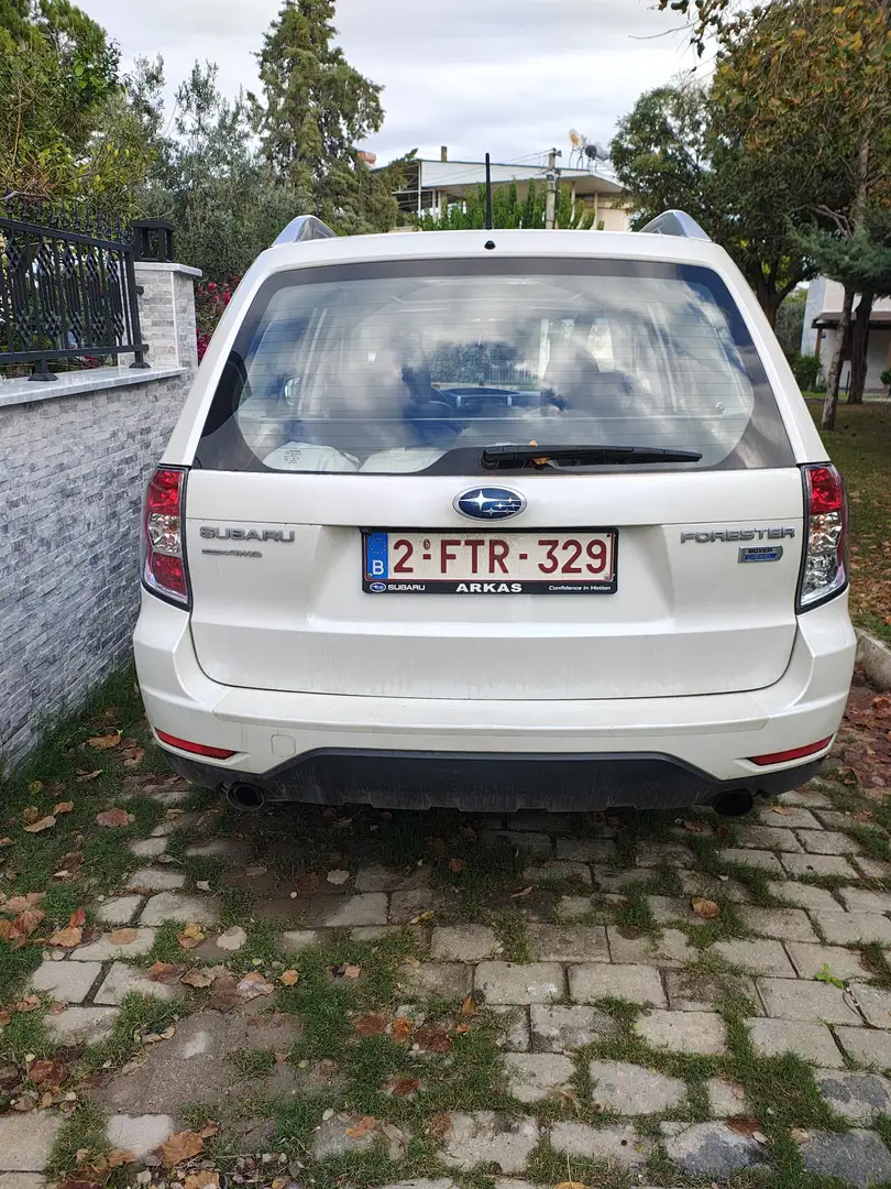 Subaru Forester 2.0 D Confort - 2
