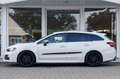 Subaru Levorg 1.6 GT-S Premium | Eyesight | Navigatie | Lederen Blanc - thumbnail 6