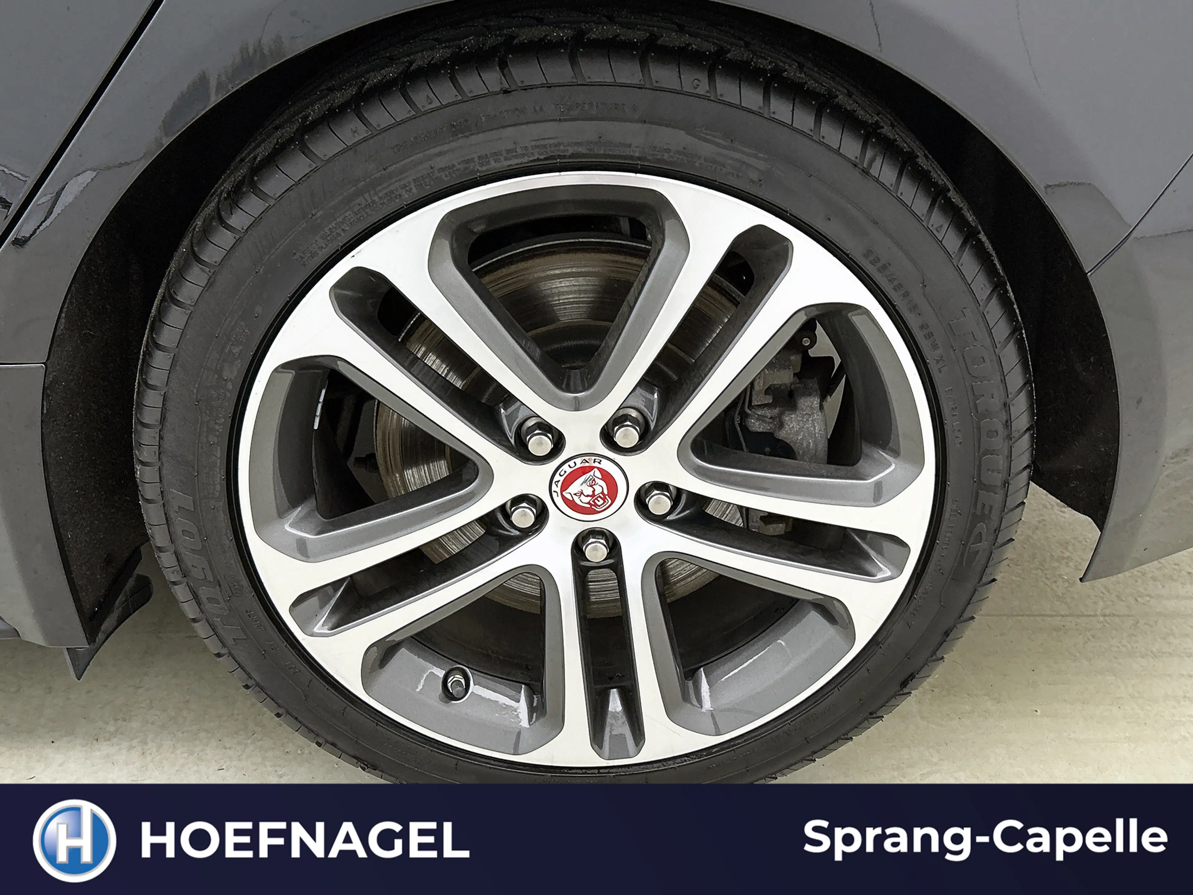 Jaguar XE 2.0 P250 R-Dynamic SE | Camera | Cruise Control | — photo 10