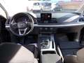 Audi Q5 2.0 TDI 35 quattro S tronic Business Sport Blu/Azzurro - thumbnail 9