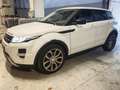 Land Rover Range Rover Evoque Launch Edition Bianco - thumbnail 3