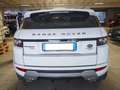 Land Rover Range Rover Evoque Launch Edition Bianco - thumbnail 5