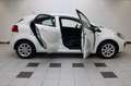 Kia Rio 1.2 CVVT Comfort Pack - NAP Weiß - thumbnail 6