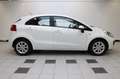 Kia Rio 1.2 CVVT Comfort Pack - NAP Weiß - thumbnail 5