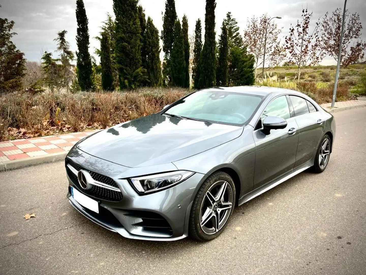 Mercedes-Benz CLS 450 4MATIC Gris - 2