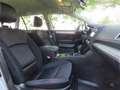 Subaru OUTBACK 2.5i Comfort Aut, LED, Cruise, ECC, Navi, Trekhaak Сірий - thumbnail 14