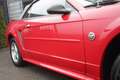 Ford Mustang USA 3.9 V6 Cabriolet ORIGINELE STAAT! Rood - thumbnail 11