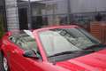 Ford Mustang USA 3.9 V6 Cabriolet ORIGINELE STAAT! Rood - thumbnail 12