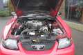 Ford Mustang USA 3.9 V6 Cabriolet ORIGINELE STAAT! Rood - thumbnail 14