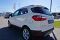 Ford EcoSport 1,5 TDCi Titanium Weiß - thumbnail 7