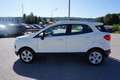 Ford EcoSport 1,5 TDCi Titanium Weiß - thumbnail 5