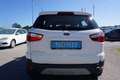 Ford EcoSport 1,5 TDCi Titanium Weiß - thumbnail 8