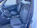 Tata Xenon 2.2 Dicor 4x4 PC Cassonato pick-up 4WD AWD Weiß - thumbnail 12