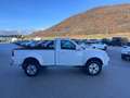 Tata Xenon 2.2 Dicor 4x4 PC Cassonato pick-up 4WD AWD Weiß - thumbnail 4