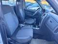 Tata Xenon 2.2 Dicor 4x4 PC Cassonato pick-up 4WD AWD Weiß - thumbnail 14